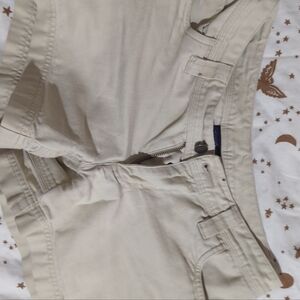 Patagonia Khaki Organic Cotton Shorts